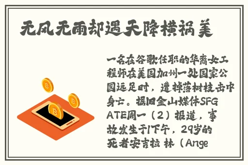 精品亚洲AV明星